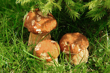 Similar image 192663