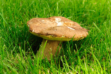 Similar image 192671