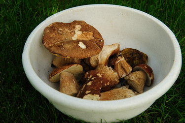 Similar image 192675