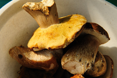 Similar image 192678