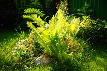 Similar image 192696