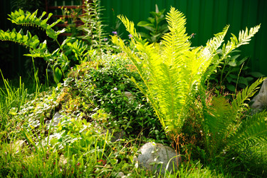 Similar image 192699