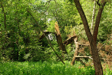 Similar image 192712