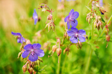 Similar image 192713