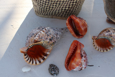 Similar image 192733