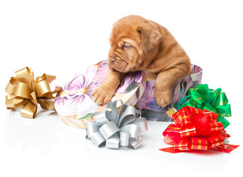 Similar image 192747