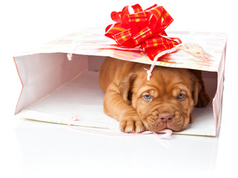 Similar image 192748