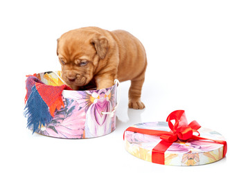 Similar image 192750