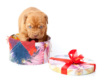 Similar image 192751