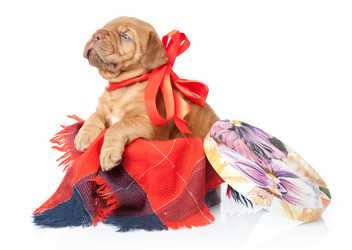 Similar image 192754