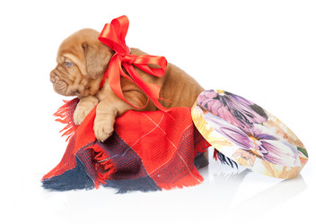 Similar image 192756