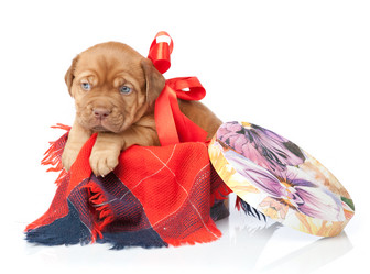 Similar image 192757