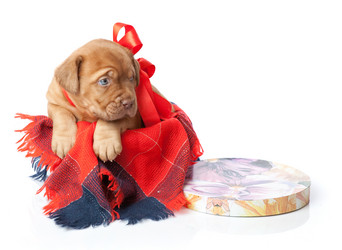 Similar image 192758