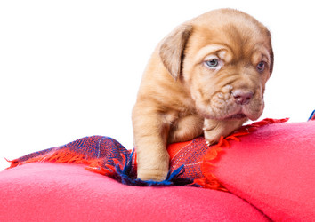 Similar image 192768