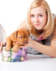 Similar image 192794