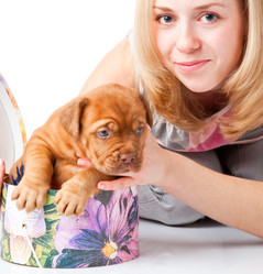 Similar image 192795