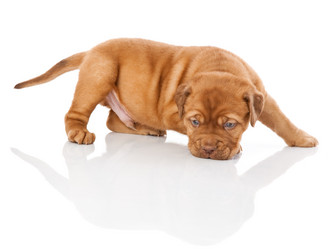 Similar image 192812