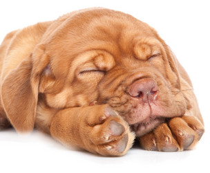 Similar image 192821