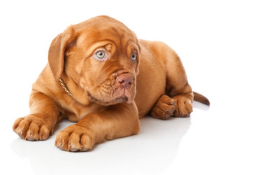 Similar image 192840