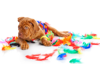 Similar image 192843