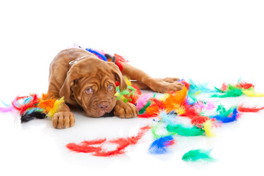 Similar image 192845