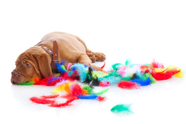 Similar image 192847