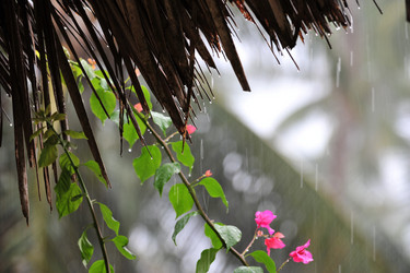 Similar image 192848