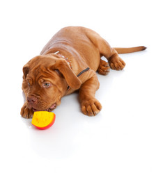 Similar image 192849