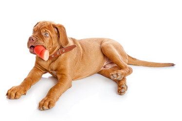 Similar image 192853