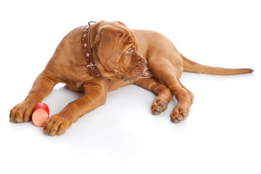 Similar image 192855