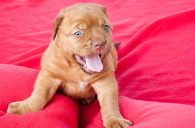 Similar image 192860