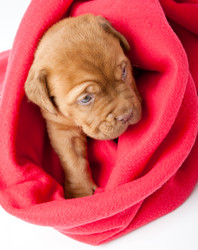 Similar image 192861