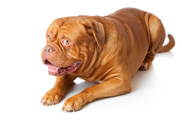 Similar image 192866