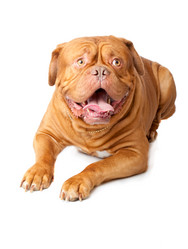 Similar image 192867