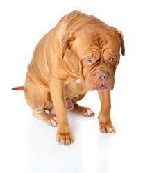 Similar image 192868