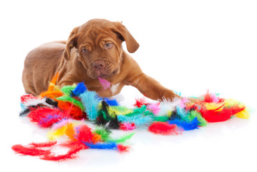 Similar image 192869