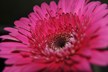 Similar image 192872