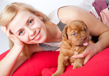 Similar image 192884