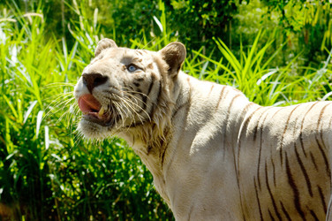 Similar image 192919