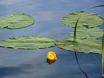 Similar image 192930