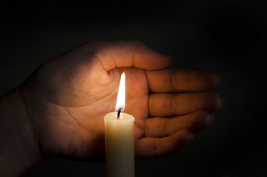 Similar image 193026