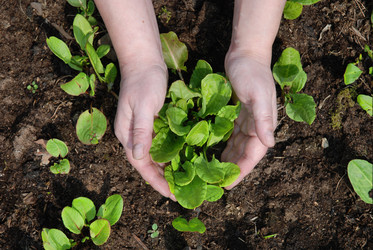 Similar image 193067