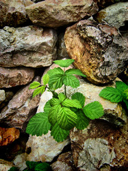 Similar image 193081