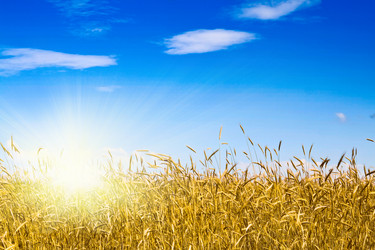 Similar image 193102