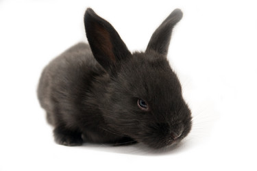 Similar image 193105