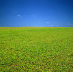 Similar image 193119