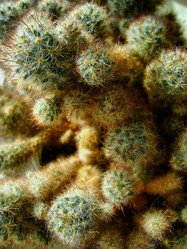 Similar image 193126