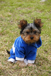 Similar image 193130