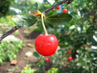 Similar image 193138