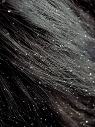 Similar image 193144